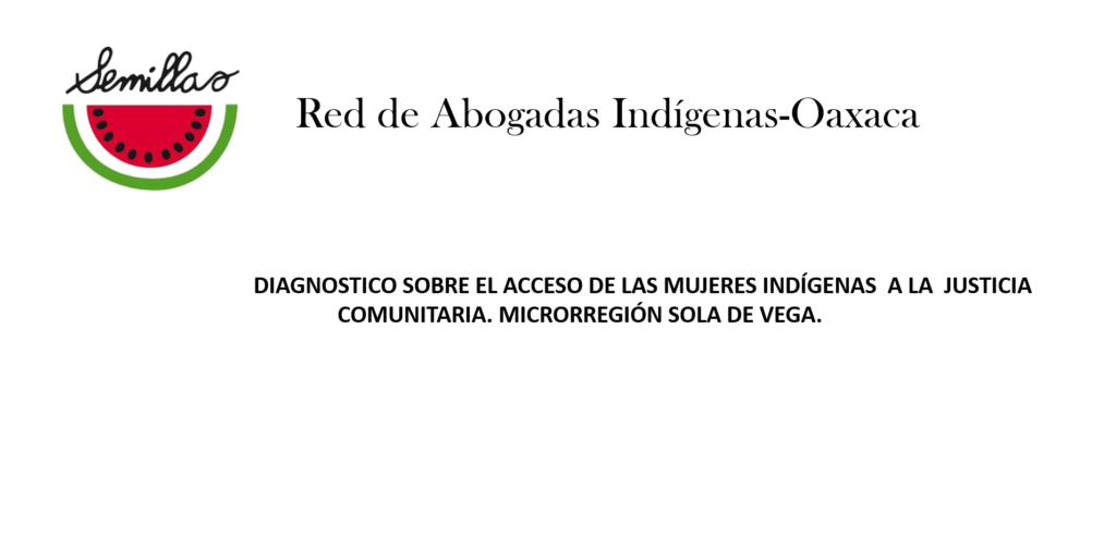 DIAGNOSTICO SOBRE EL ACCESO DE LAS MUJERES INDÍGENAS A LA JUSTICIA COMUNITARIA. MICRORREGIÓN SOLA DE VEGA